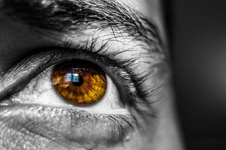 Revolutionary Treatment for Corneal Blindness Shows Promising Results