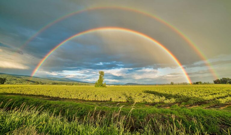 Climate-Resilient Farming: The Power of Healthy Soil